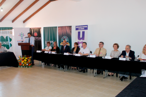 tamaño web